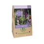 Bloembollen tas Blooming Summer Lotte (voor 1 m2)